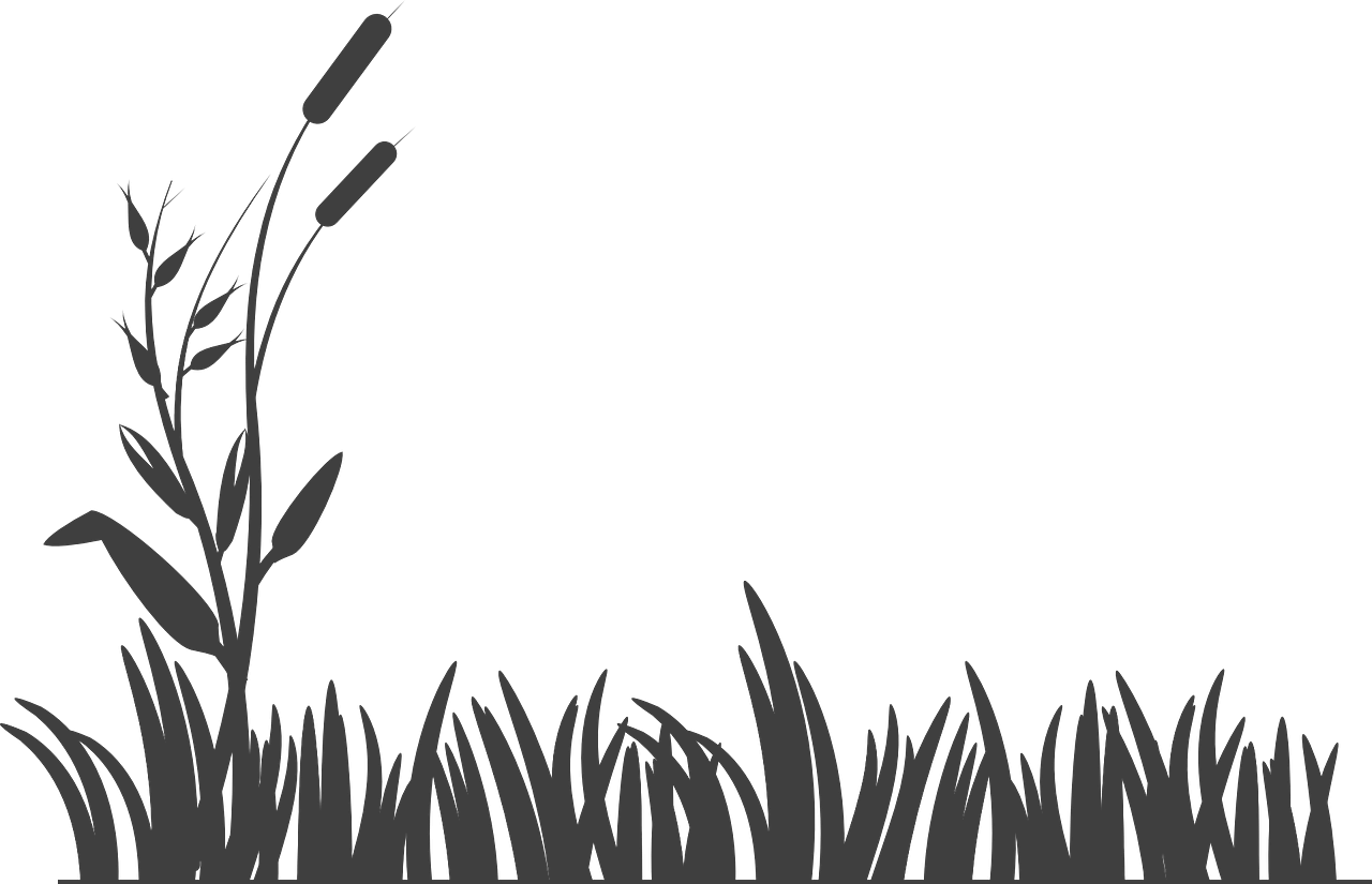 Agro Products Background